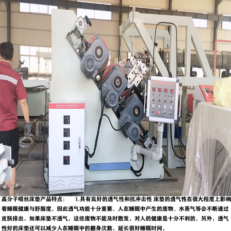 POE/EVA Polymer Mattress Equipment PE Sheet Production Line Newly Produced by Zhongnuo