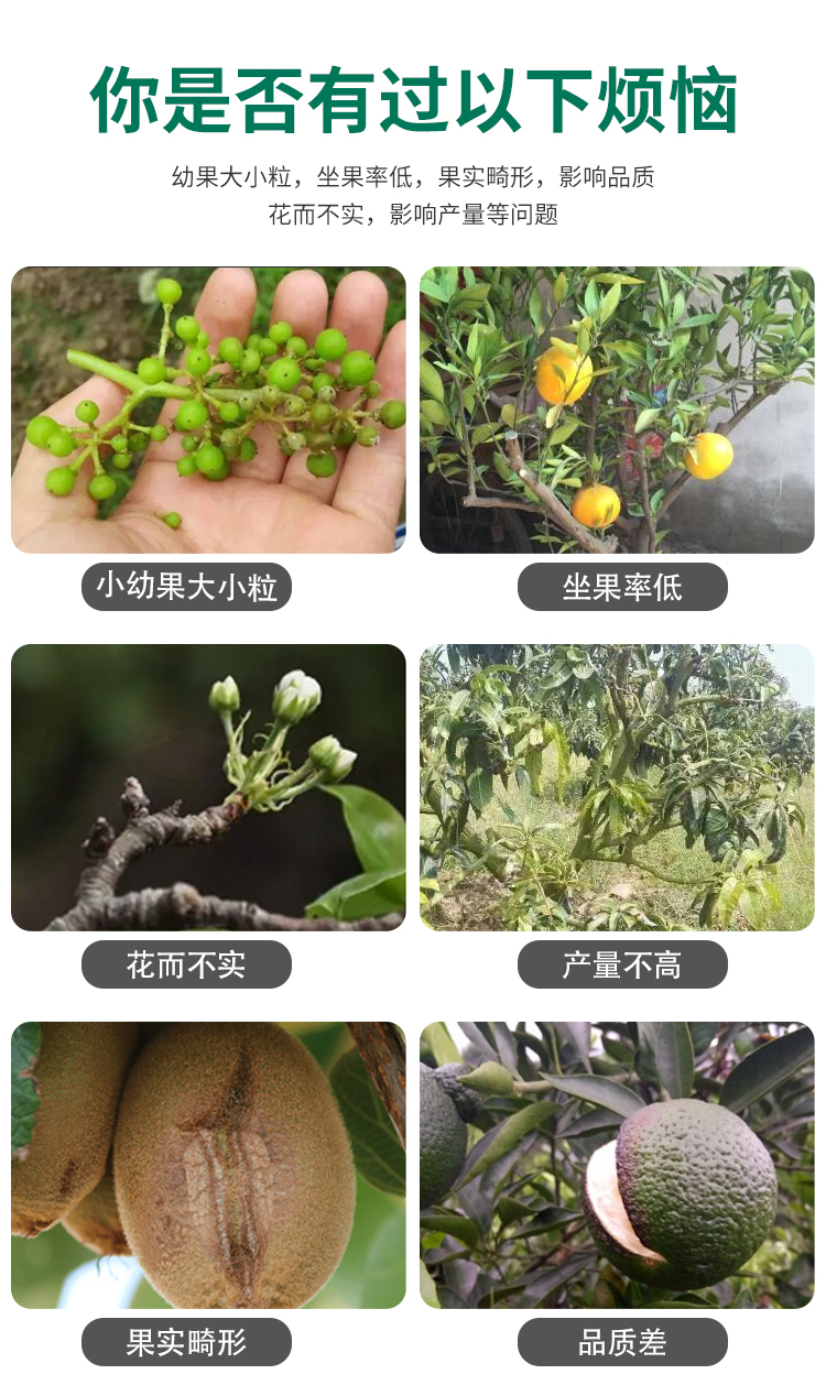 Boron molybdenum mixture promotes flower and fruit growth, increases fruit set rate, wholesale by foliar fertilizer manufacturers