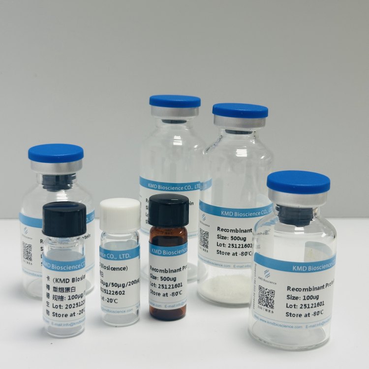程序性死亡分子/Programmed cell death protein 1蛋白 免疫检查