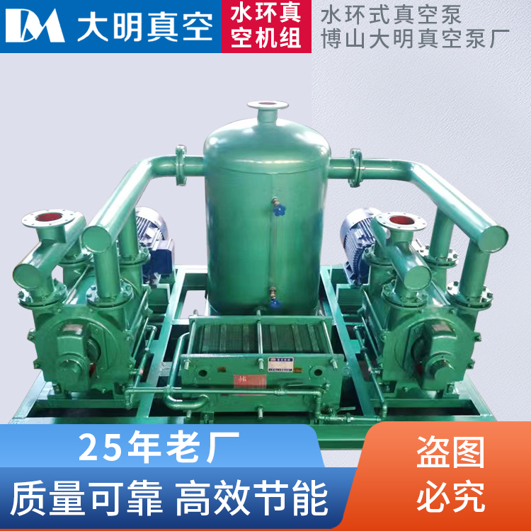 Zibo Water Ring Vacuum Unit Customized Closed Cycle Vacuum Pump Unit Vacuum Negative Pressure Station System