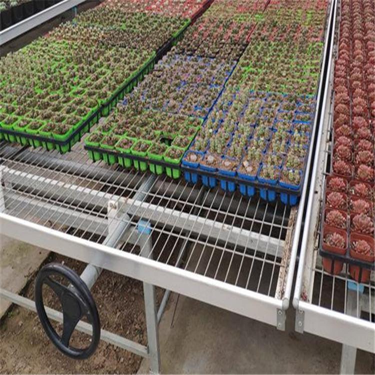 Tailong Greenhouse Corrosion resistant Seedling Bed Net Vegetable Galvanized Planting Net Bed Medicinal Material Planting Frame Customization