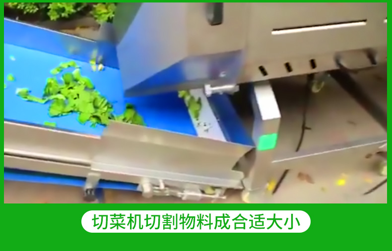 Central Kitchen Prefabricated Vegetable Processing Line Leaf Vegetable, Hair Vegetable Cleaning Line Vegetable, Fruit, and Clean Vegetable Production Line Plan