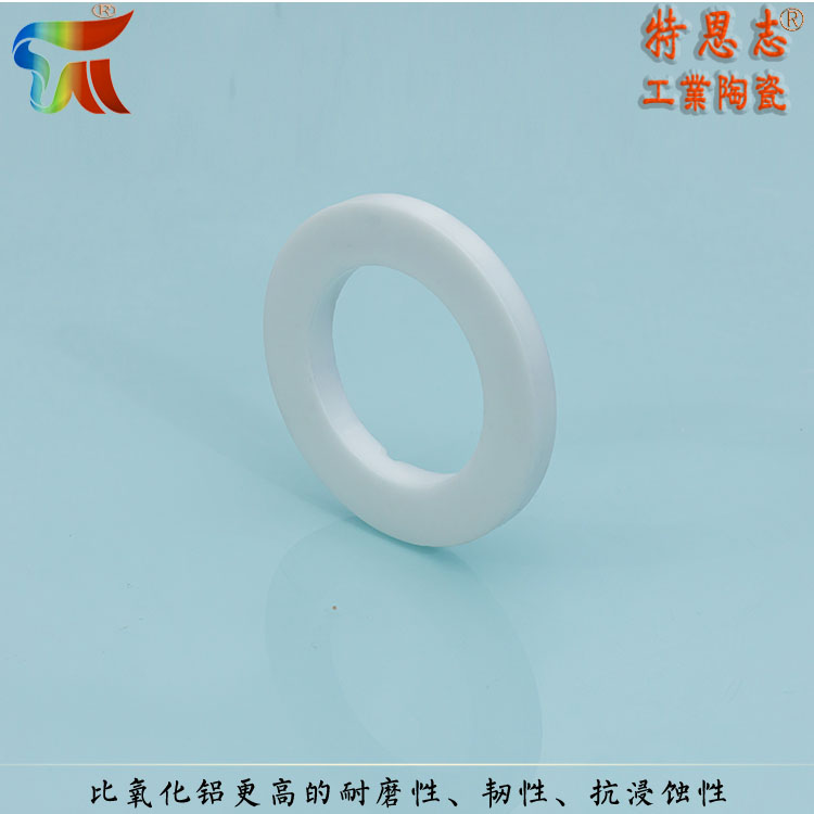 Terenz Dry Press Forming Manufacturer for Precision Zirconia Ceramic Ring Sealing