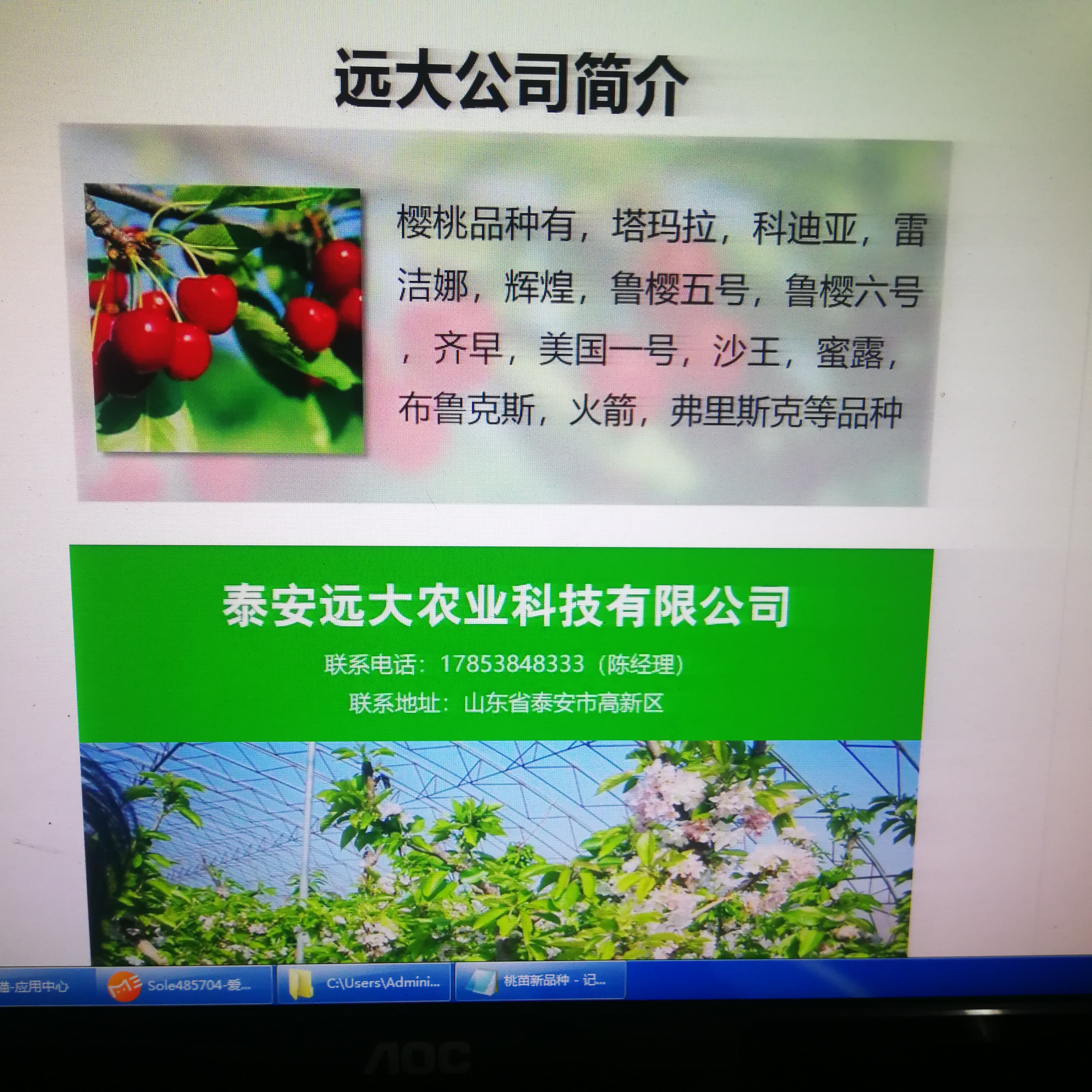 High quality Miaoxiang No.7 Suizhu Strawberry Seedling County Digging and Selling in Greenhouse Planting Ideal Variety