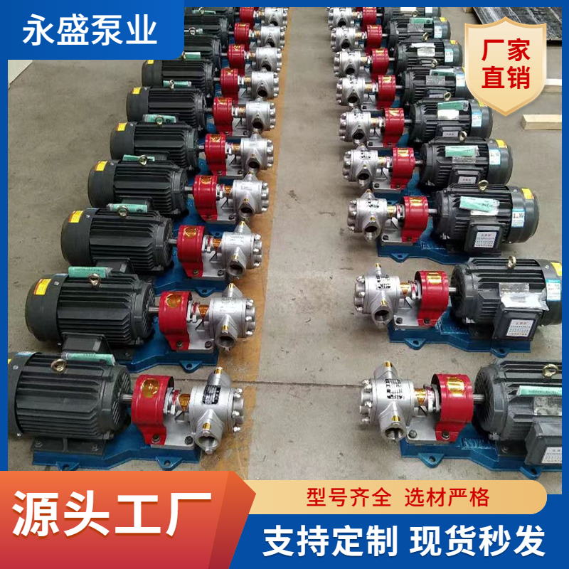 304 stainless steel gear pump electric horizontal pump explosion-proof Pumpjack high-temperature gear pump