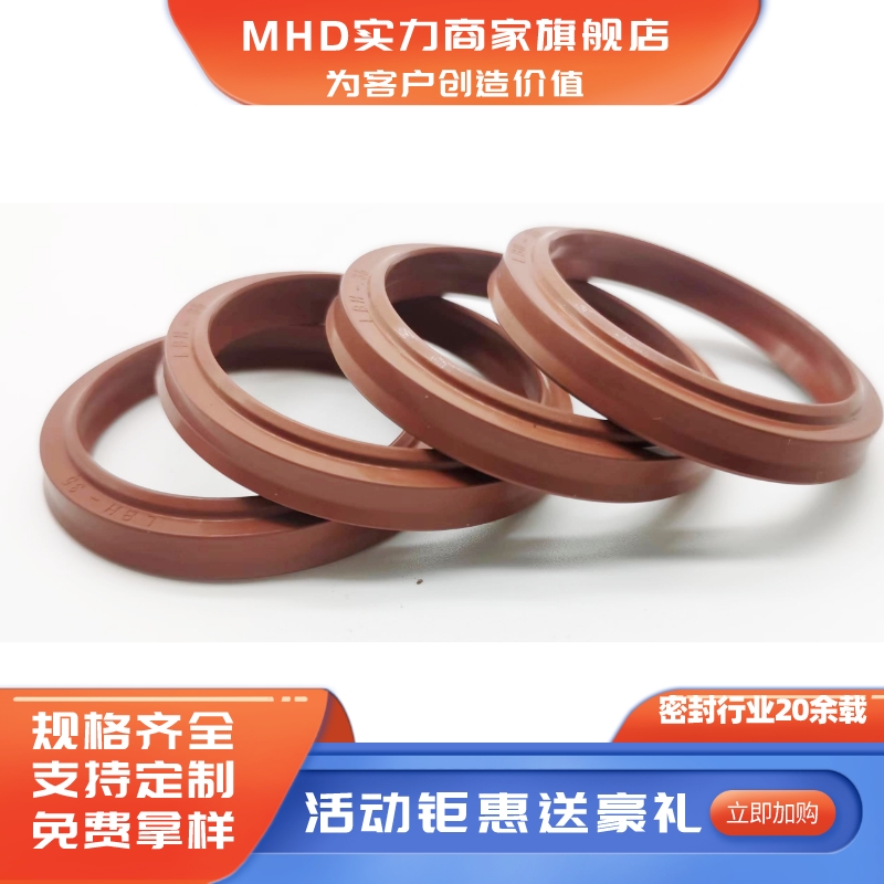 Guangyan Fluorine Rubber Sealing Ring Fluorine Rubber Dust Seal Wholesale LBH USH GSDR Dust Seal