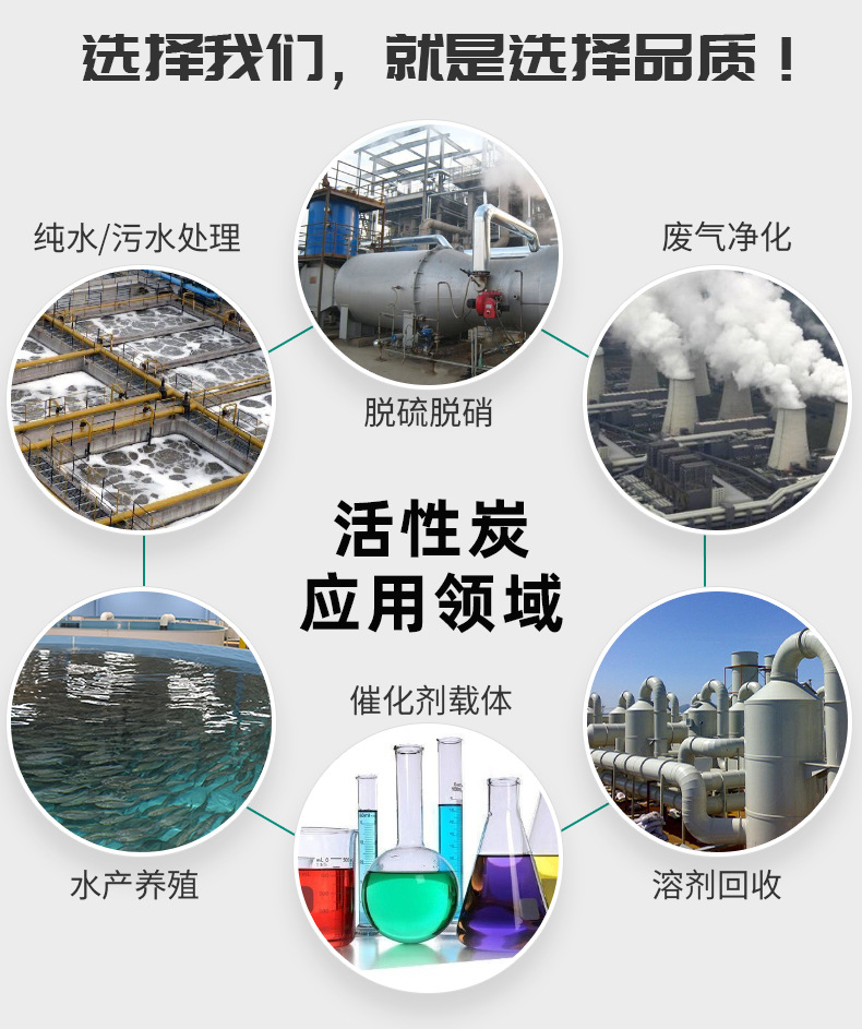 Coal based columnar activated carbon catalytic carrier for Industrial gas recovery and treatment production impregnant can be customized