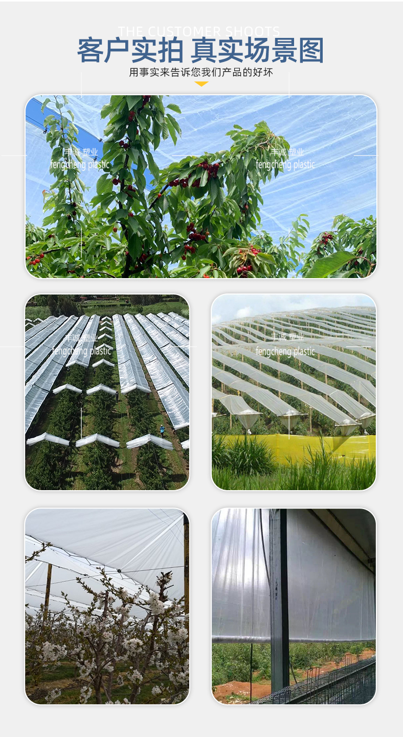 Full automatic anti-aging rain proof plastic greenhouse film cherry cherry cherry cherry plum fruit tree shelter