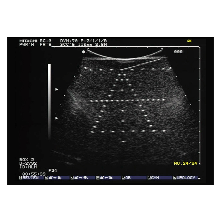 US cirs 055/055A 2D3D ultrasound evaluation model 3D line test object phantom ultrasound QA phantom