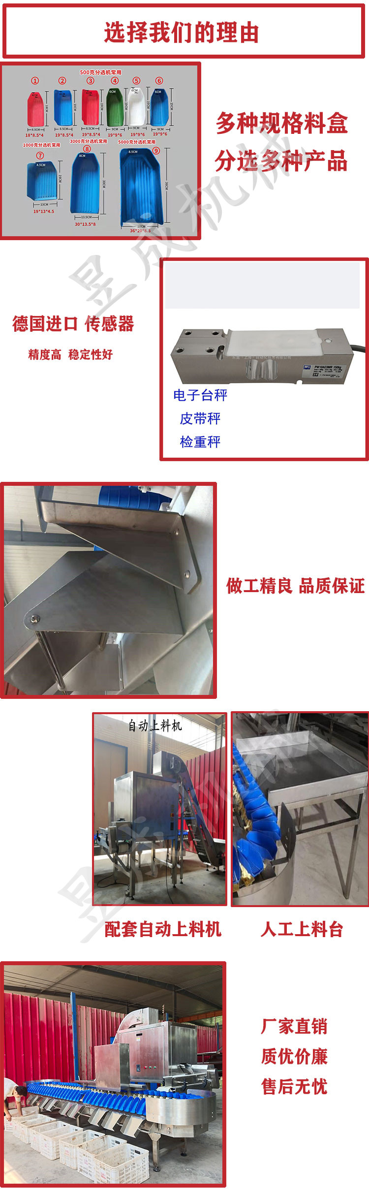 Yucheng Customized Small Weight Sorter Eggs, Fruits, Vegetables, Fish, Meat Size Sorting and Rapid Grading