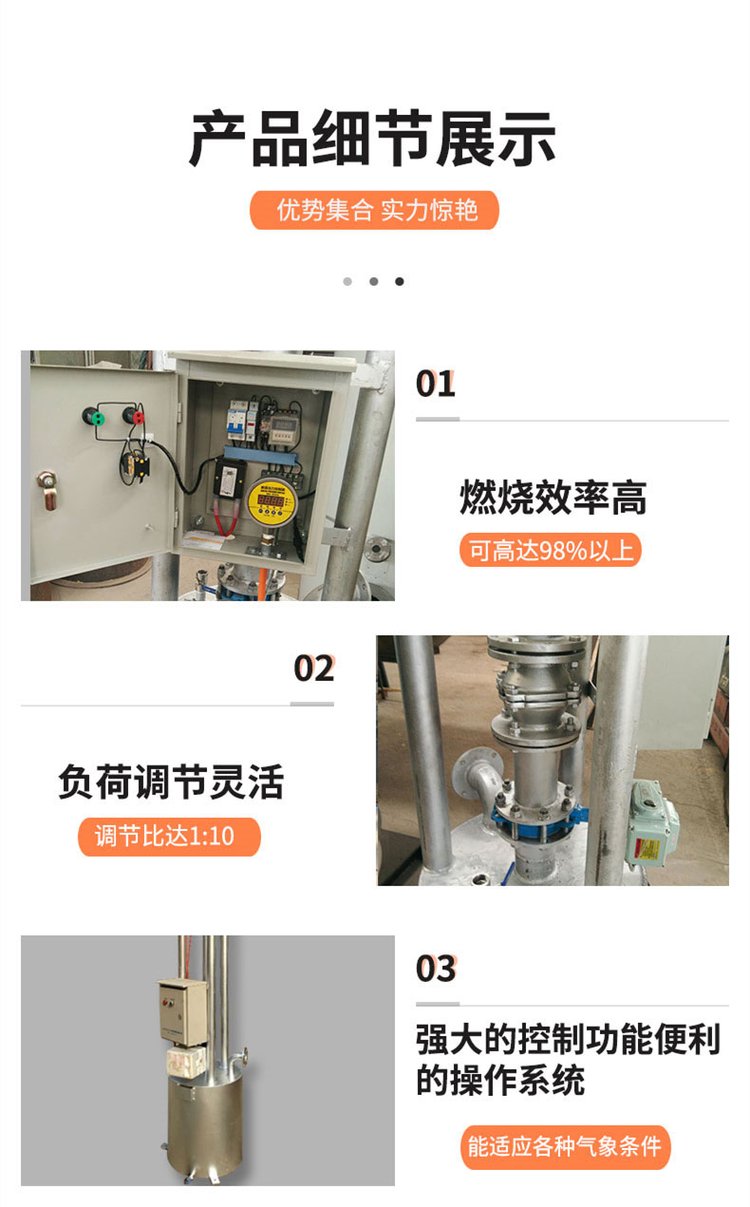 Automatic ignition torch system sewage treatment biogas torch stainless steel ground combustion equipment fully automatic