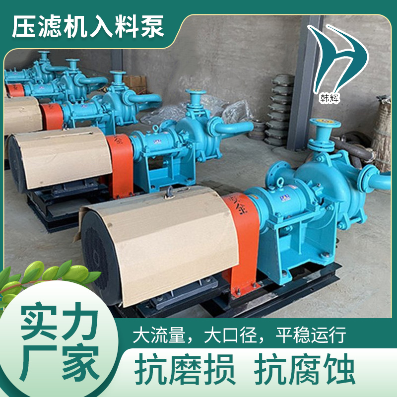 韩辉 卧式渣浆泵 双叶轮300平方压滤机入料泵45KW 压力平稳无泄漏