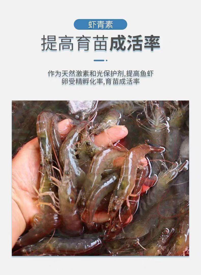 Haematococcus pluvialis extract natural astaxanthin aquatic Aquarium fish shrimp and crab aquaculture