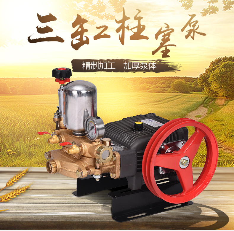 Agricultural drip irrigation alpine booster pump 4102 engine with alpine sprinkler pump remote water delivery 40 horsepower alpine pump