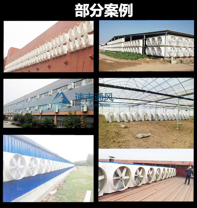 Fiberglass negative pressure exhaust fan Zaoyang roof ventilation fan cooling equipment Suqian factory workshop industrial ventilation fan