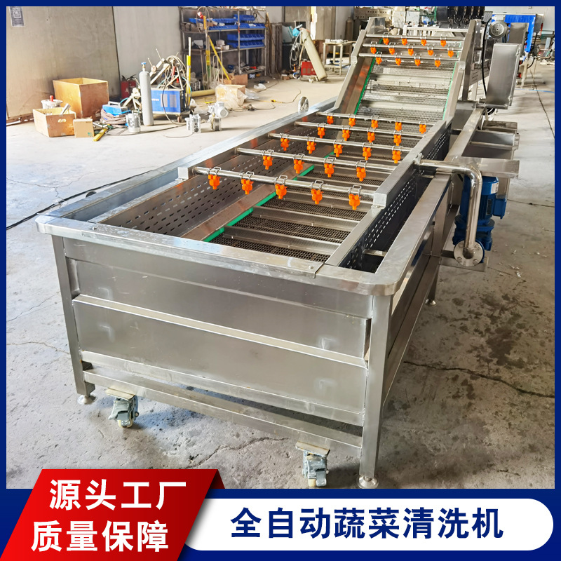 Tomato bubble vegetable cleaning machine production Wumei cleaning and air drying assembly line Dongdu