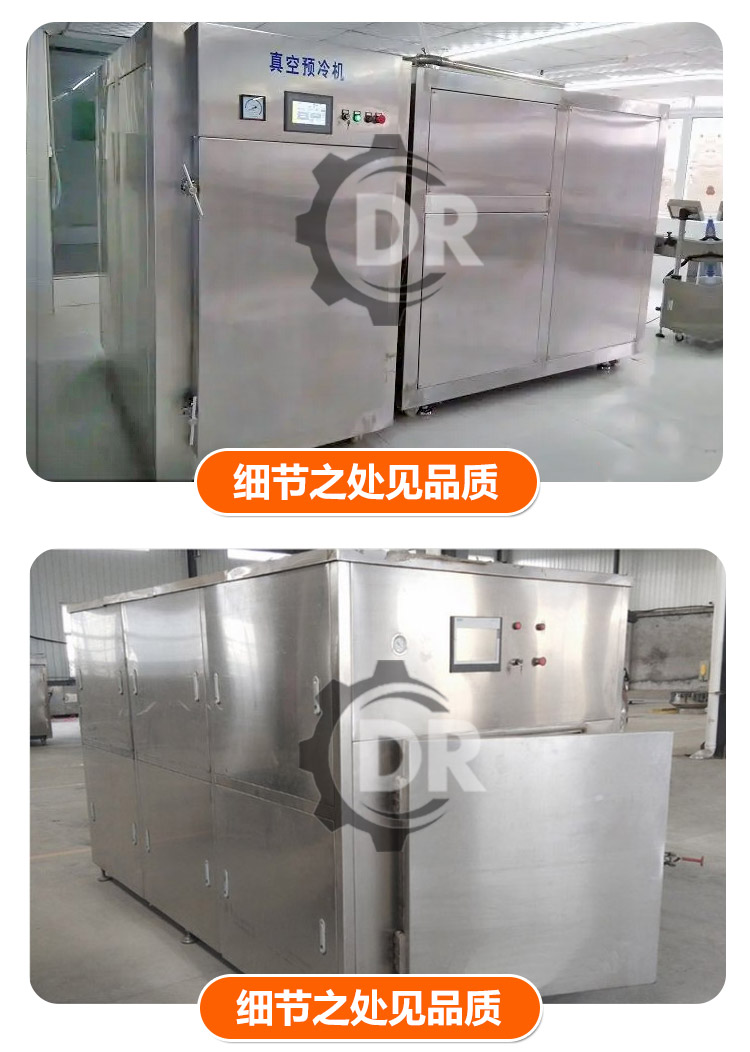 Deren Machinery Matsutake Freeze Drying Equipment Small Vacuum Freeze Drying Machine Cold Trap Device Widely Used