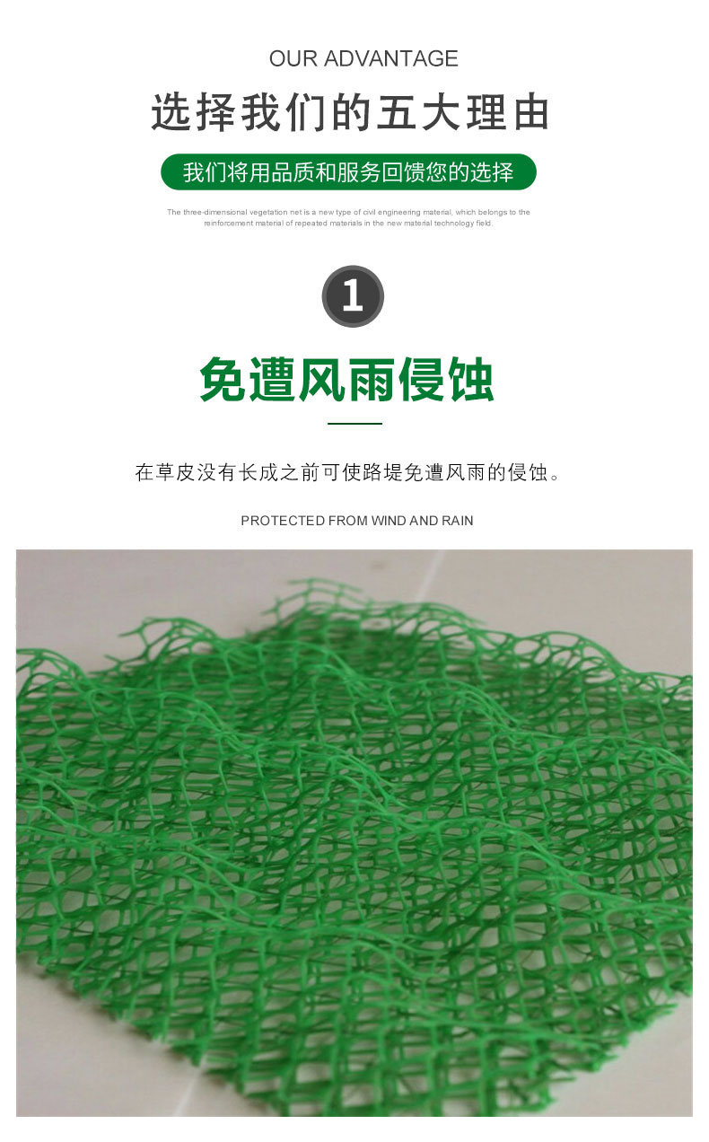 Green 3D Geonet Cushion for River Slope Protection, Vegetation Net Fixed U-shaped Nail for Soil and Water Protection