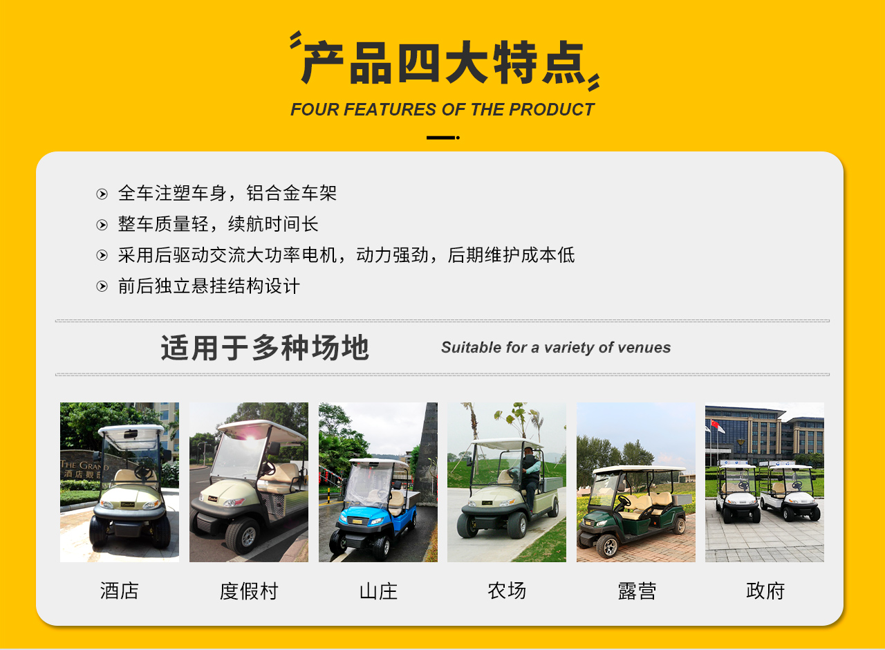 Donglang New Energy Type A 2-seater Electric Patrol Truck - Scenic Area Logistics Sightseeing Vehicle - A1S2