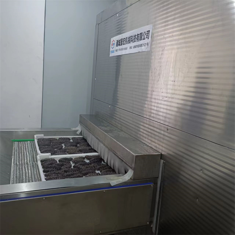 Tunnel type sea cucumber flat plate freezer for roasting and selling steamed buns Quick freezing equipment with low energy consumption and high output Single freezing machine Jinghong