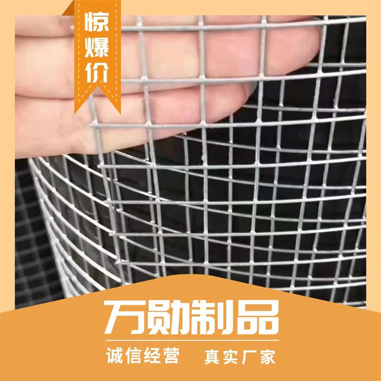 Wanxun large wire thick wire welded mesh hot-dip galvanized steel wire mesh breeding mesh can be customized