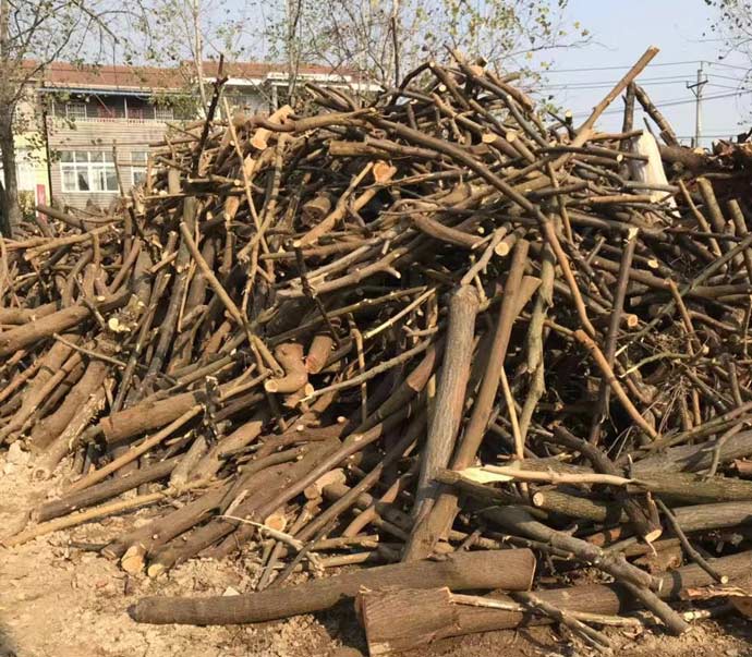 Production and processing of wood products, recycling of wood mills, energy and fuel production, and customized shipment by compression manufacturers