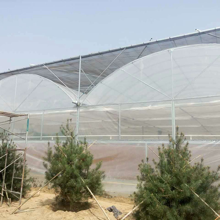 Factory orders and processes Tongfeng Jianye vegetable greenhouse skeleton, flower single temperature room skeleton