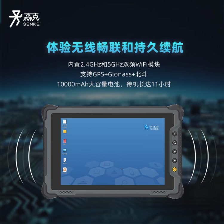 结构示意图