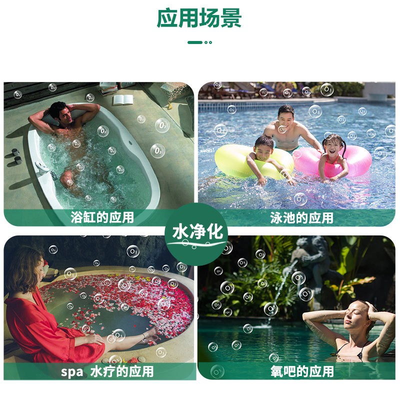 Zechuang SPA bathtub water tank sterilization Water purification ozone generator small ozone machine equipment TCB-109