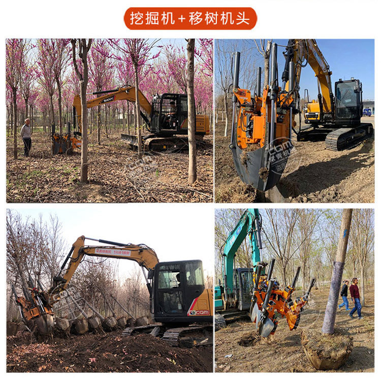 Large shovel tree excavator with soil ball and compact structure for continuous operation