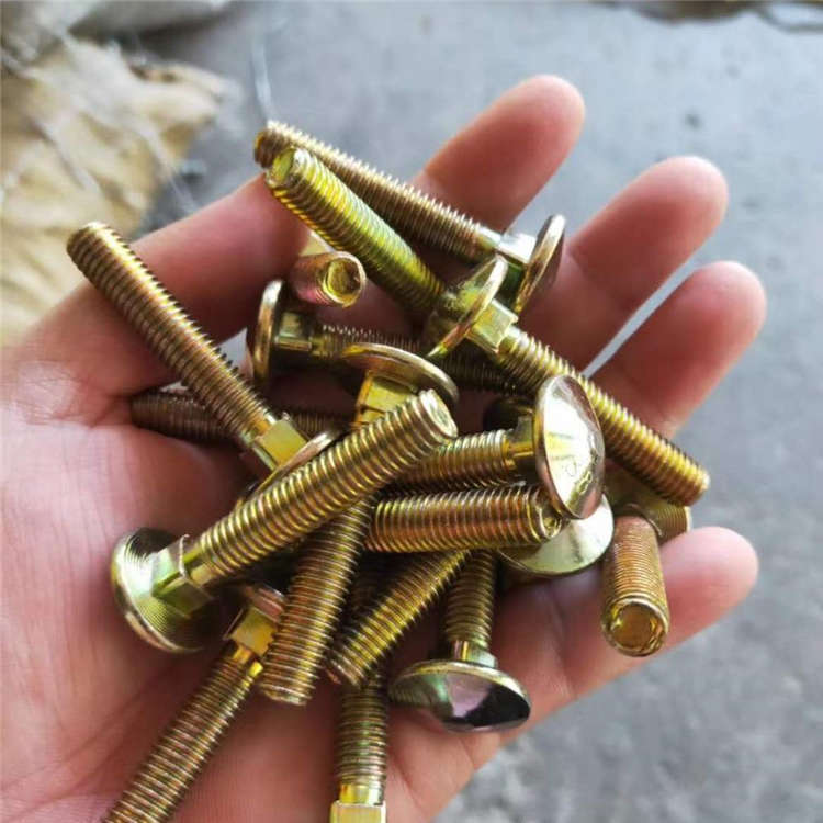 Supply stainless steel carriage bolts with large head and customized high-strength carriage bolts