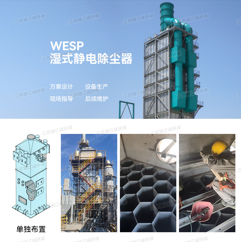 Wet electrostatic precipitator WESP boiler kiln flue gas dust treatment desulfurization wet electric dust collection integrated equipment