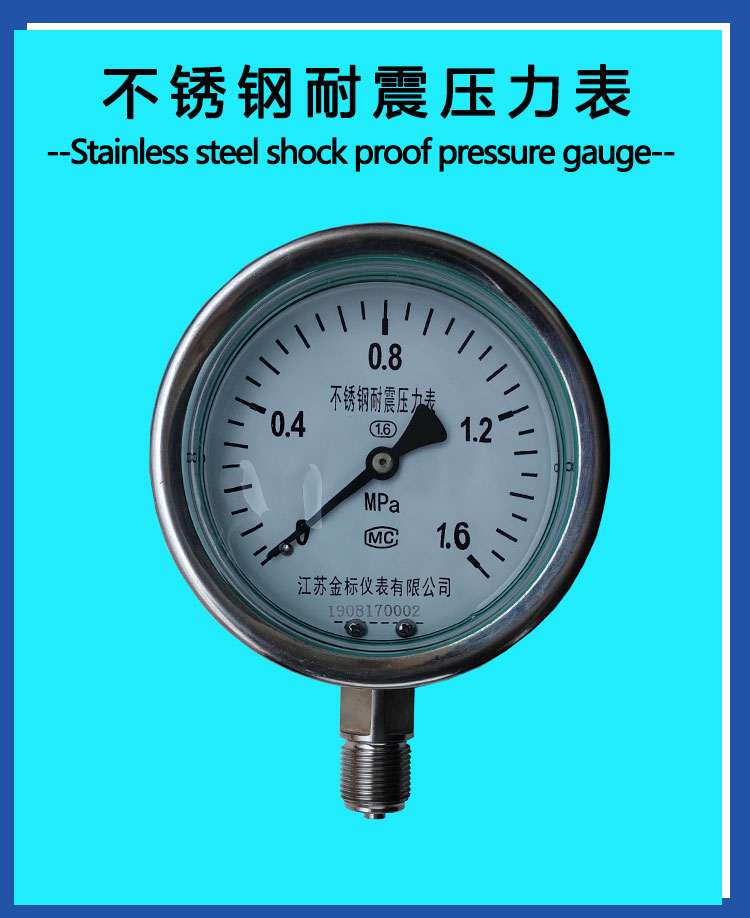 Gold standard instrument pointer Y60/Y100 radial high-pressure anti-corrosion industrial natural gas stainless steel shockproof pressure gauge