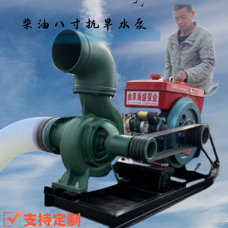 Direct connected non clogging drainage pump engineering construction diesel centrifugal pump farmland orchard irrigation sewage pump