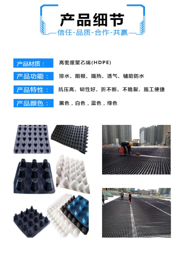 Wuhan Construction Engineering HDPE Filter Board Composite Geotextile Drainage Board 2cm Drainage Board