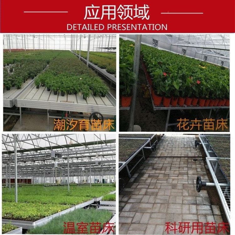 Tailong Flower Seedling Cultivation, Flower Rack Network, Medicinal Material Planting, Corrosion Resistant Seedling Bed Network, Vegetable Galvanized Planting Net Bed Customization