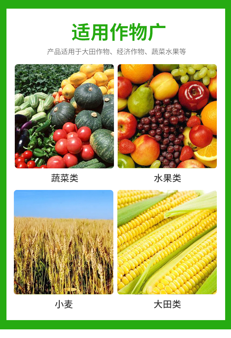 Boron molybdenum mixture water-soluble fertilizer manufacturer wholesales flowers, fruits, and vegetables for faster delivery