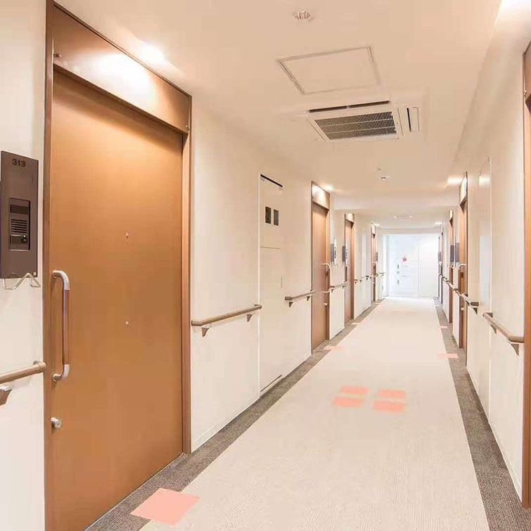 Japan NAKA nursing home corridor handrail wall resin wood grain color aisle door entrance and exit handrail