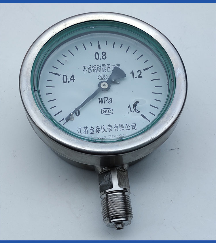 Gold standard instrument pointer Y60/Y100 radial high-pressure anti-corrosion industrial natural gas stainless steel shockproof pressure gauge