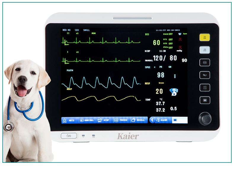 Animal heart rate, blood oxygen, and blood pressure monitoring equipment supplied by manufacturers for pet hospitals