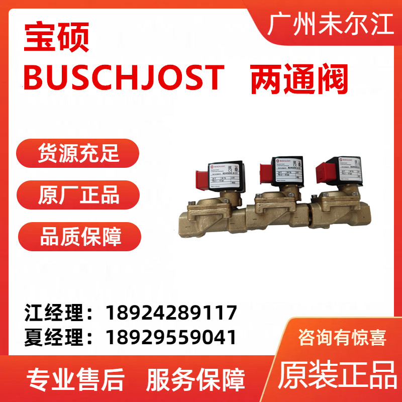 Baoshuo BUSCHJOST brass two-way solenoid valve 8536200915102400 original special sales