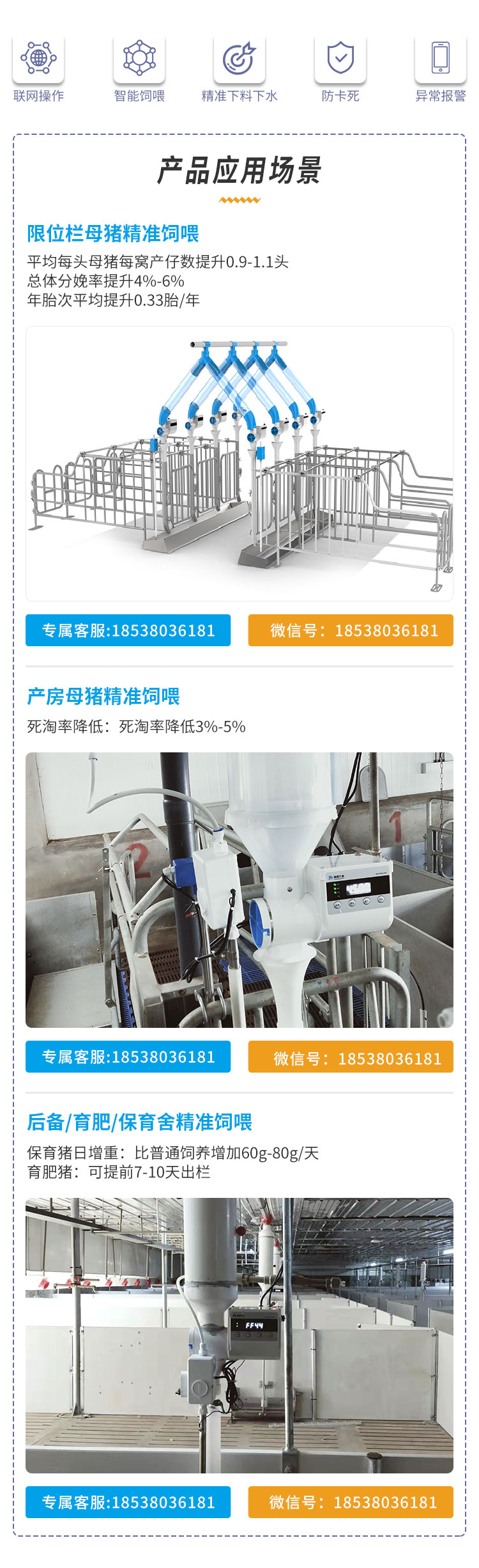 Intelligent feeding device for lactating sows Automatic feeding system for sows in the delivery room Precision feeding device Pig farm equipment