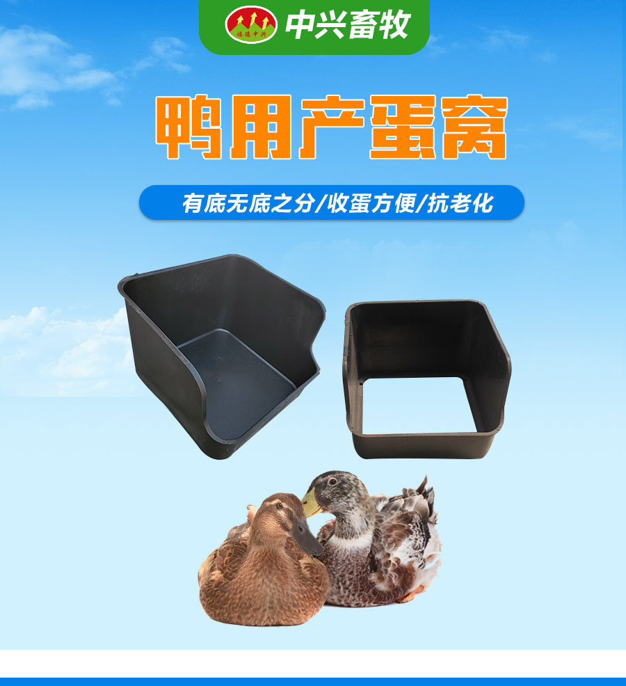 Black plastic duck egg box for duck laying baskets used in duck egg laying farms