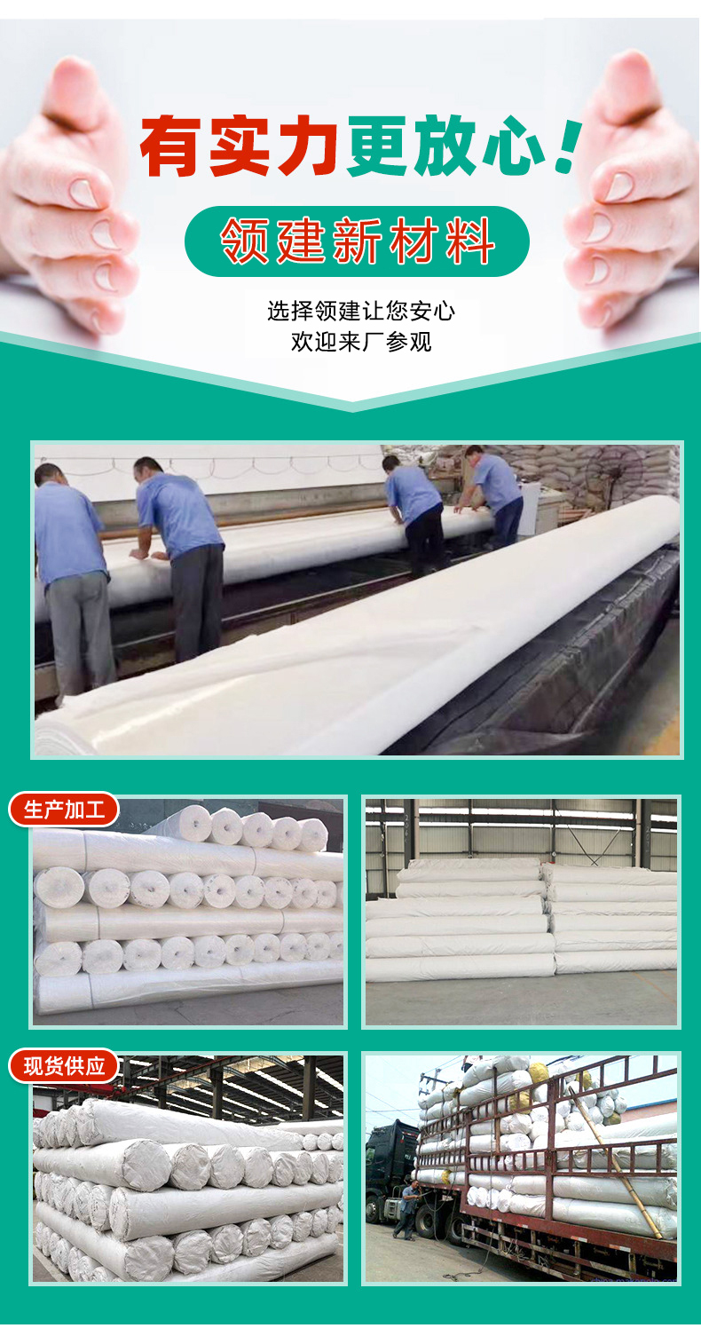 Lingjian Long Filament Composite Geomembrane HDPE Anti seepage Membrane 500g 600g 700g 800g 900g Reservoir Landscape Lake