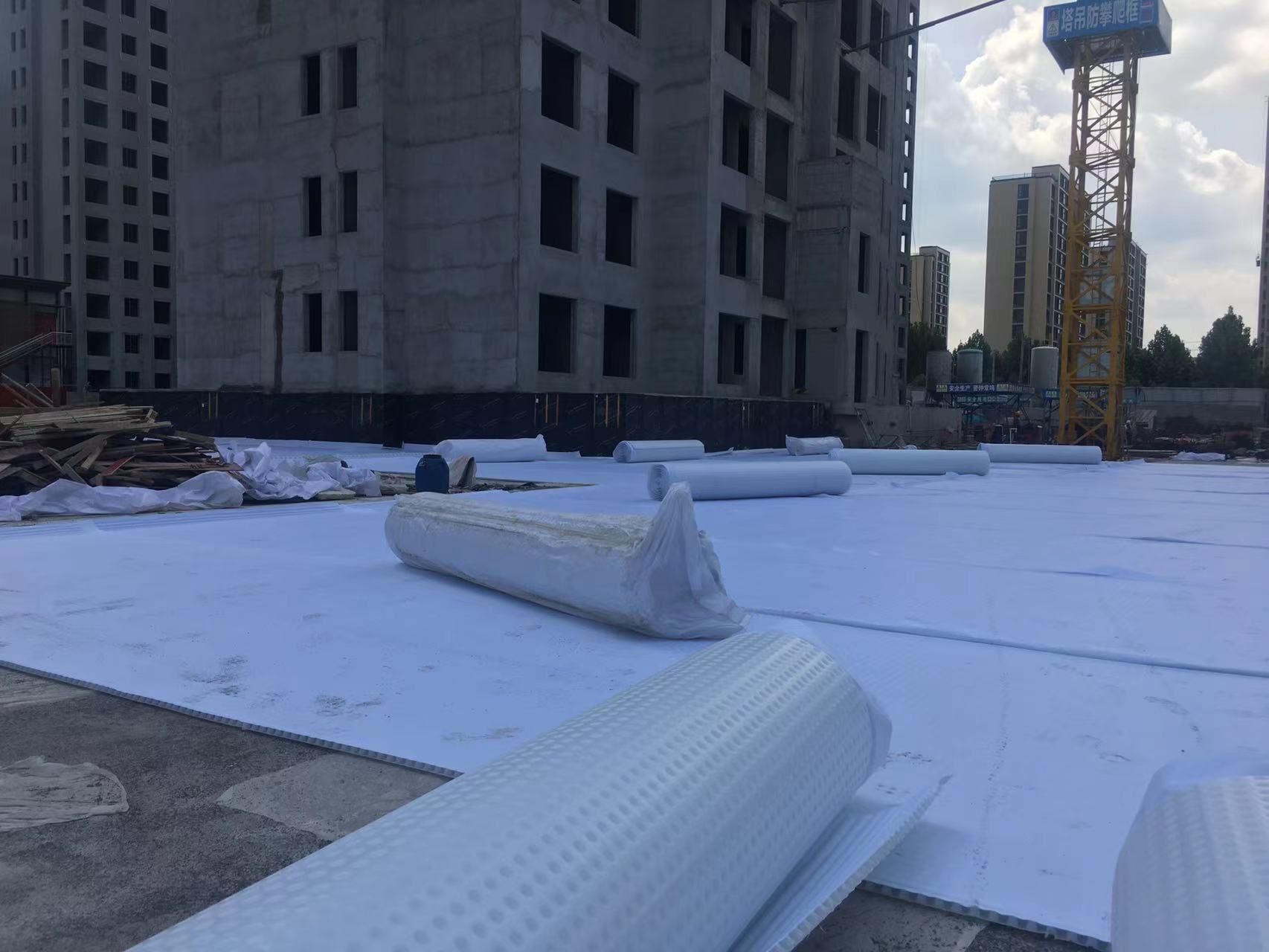 Zero slope siphon drainage collection system, polymer protective drainage and water storage special-shaped sheet, long-term composite drainage board