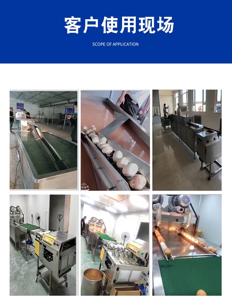 Egg washing machine Full automatic egg cleaning egg production line Preserved eggs desilting egg washing machine customized by Jin Yuxin