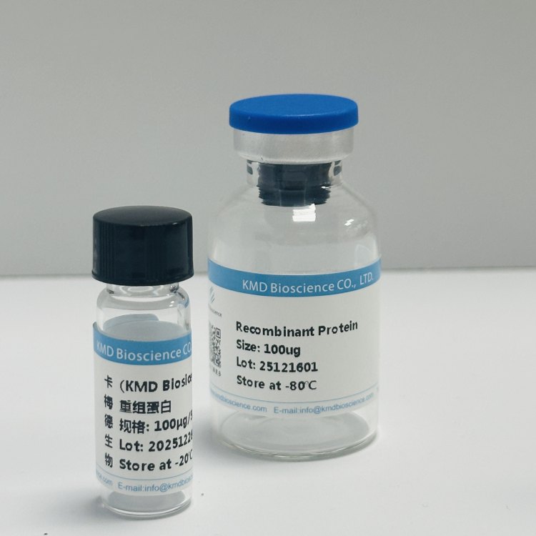 程序性死亡分子/Programmed cell death protein 1蛋白 免疫检查