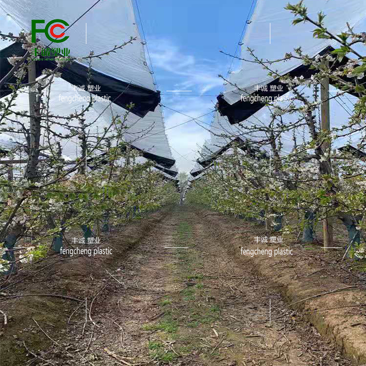 Cherry kiwi fruit tree planting, fully automatic and segmented shrinkage shelter, rain proof, waterproof, and hail proof tarpaulin