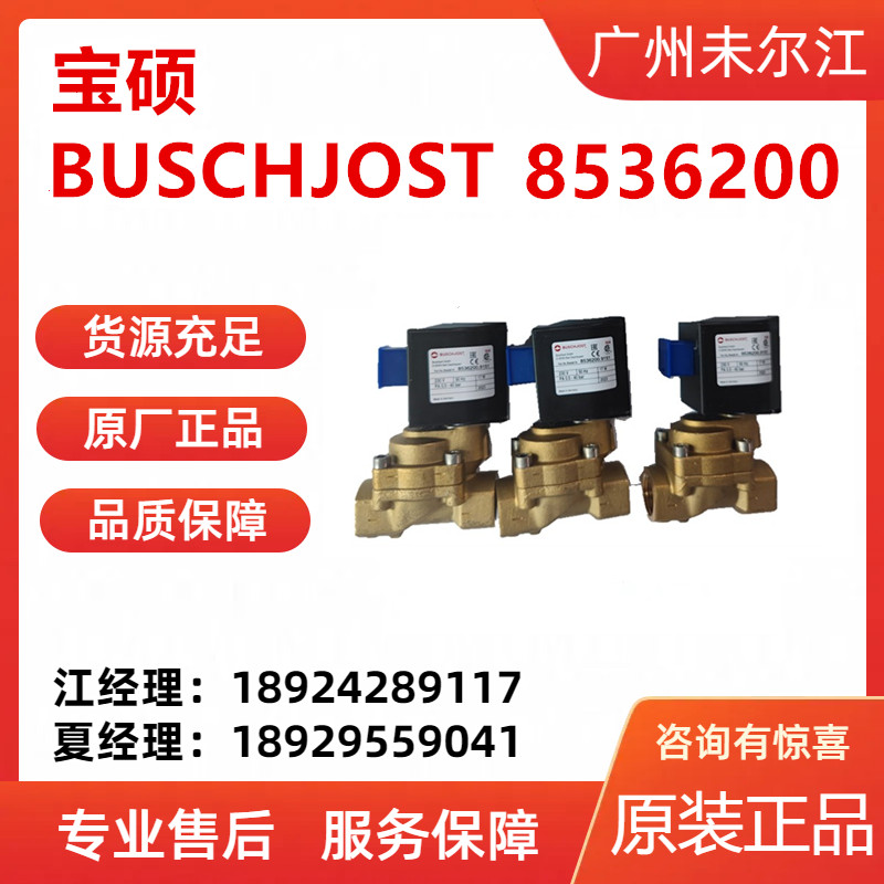 Baoshuo BUSCHJOST brass two-way solenoid valve 8536200915102400 original special sales