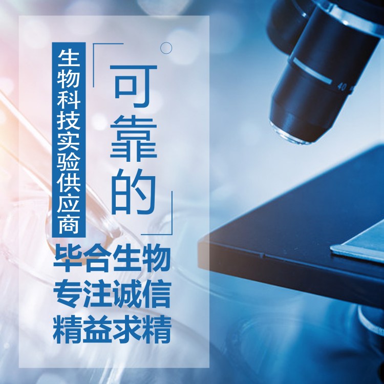 6型胶原蛋白α5抗体 Rabbit Anti-COL6A5 antibody 毕合生物 MBC